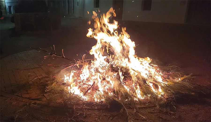17 de enero - DÍA DE SANT ANTÓN